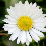 Inside My Great Mind : The Creative Bundle” The Me Time”