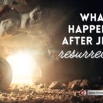 INSIDE ROR TODAY:THE WONDER OF WONDERS