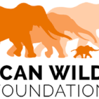 African Wildlife Foundation (AWF)