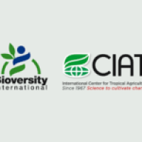 Alliance-of-Bioversity-International-and-CIAT-150x150