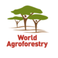 Center for International Forestry Research (CIFOR)