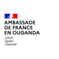 Embassy of france