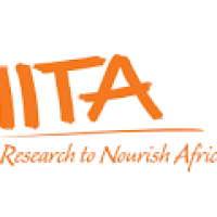 IITA