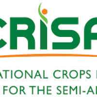 International Crop Resarch Institute For The Semi Arid Tropics(ICRISAT)