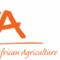 International Institute of Tropical Agriculture (IITA)