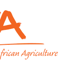 International Institute of Tropical Agriculture (IITA)