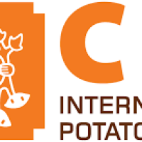 International Potato Center (CIP)