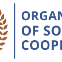 Organisation of Southern Cooperation (OSC)