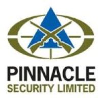 Pinnacle-Security-Limited1-150x150