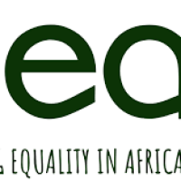 Promoting Equality in African Schools (PESA)