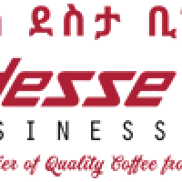 Tadesse Desta Business Group (TDBG)