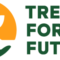 Trees for the Future