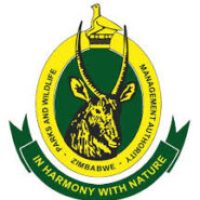 Zimbabwe Parks And Wildlife Management Authority