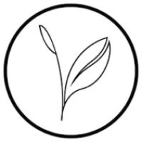 kijani forestry (1)